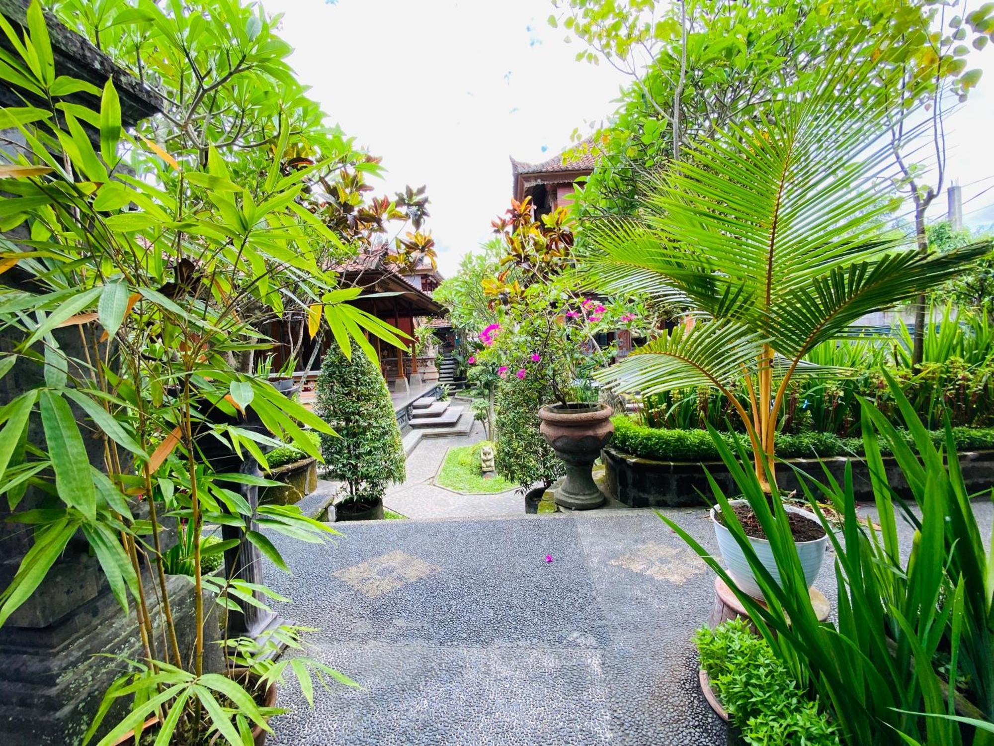 Aura Bisma Guesthouse Ubud Eksteriør bilde
